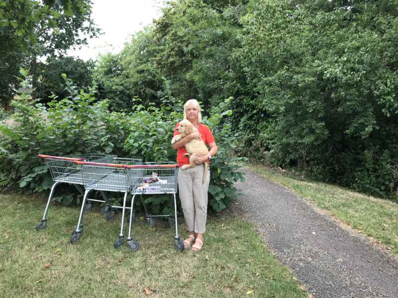 Cllr Nolan with her Golden Retriever puppy by the abandoned trolleys.